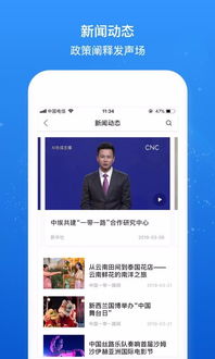 Brsn下载指南 1.0手机版与河东软件园软件资源解析